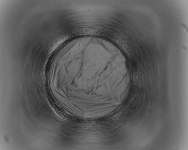 X0000091000674200708301335