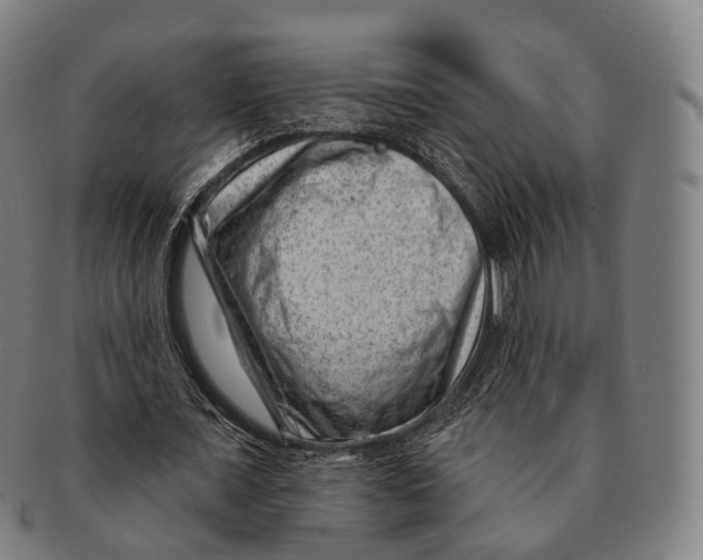 X0000091000675200708301335