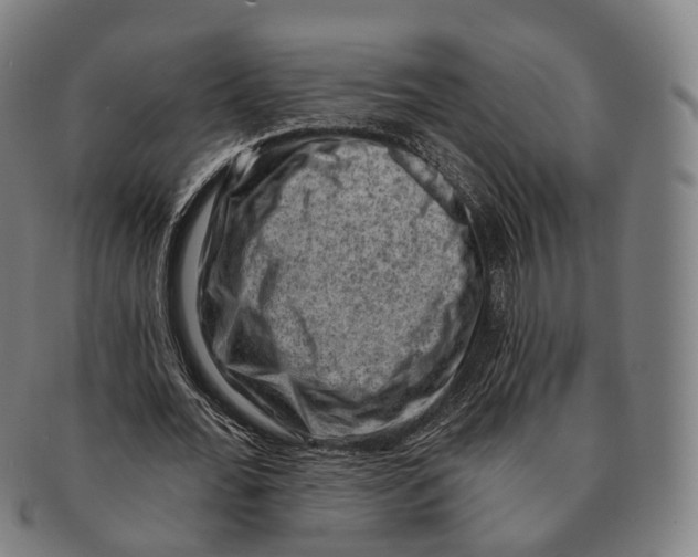 X0000091000676200708301335