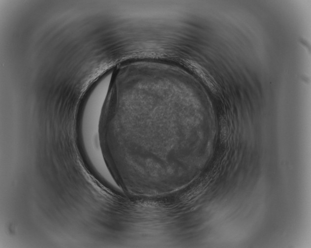 X0000091000677200708301335