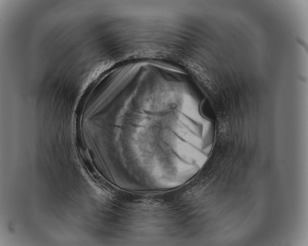 X0000091000678200708301335