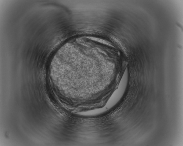 X0000091000680200708301335