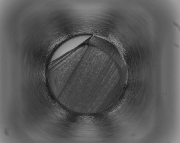 X0000091000681200708301335