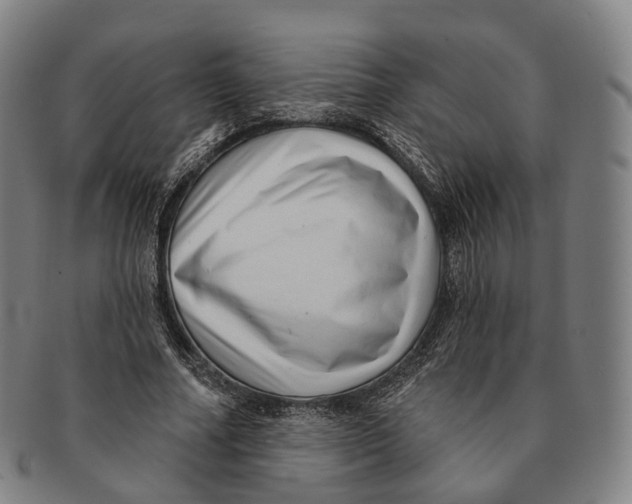 X0000091000682200708301335