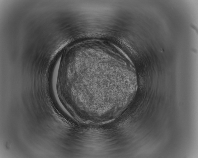 X0000091000684200708301335