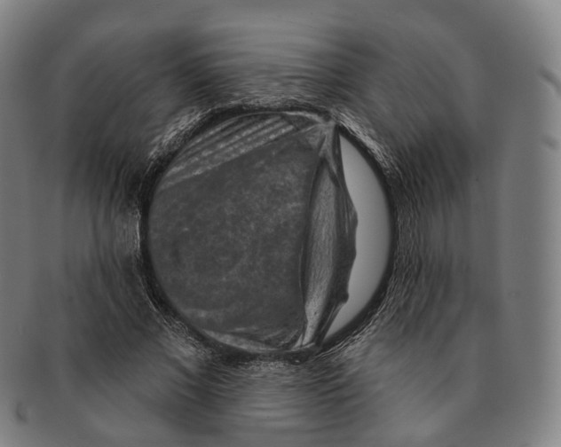 X0000091000685200708301335
