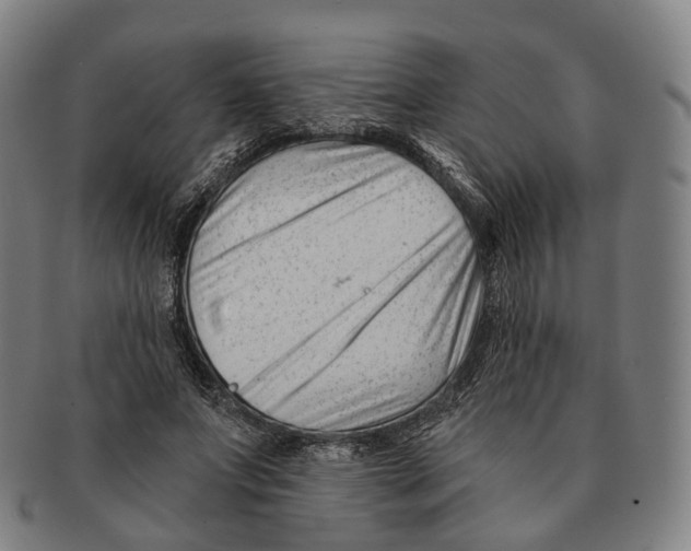 X0000091000687200708301335