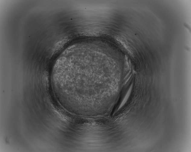X0000091000688200708301335