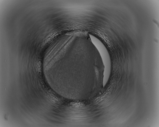 X0000091000689200708301335
