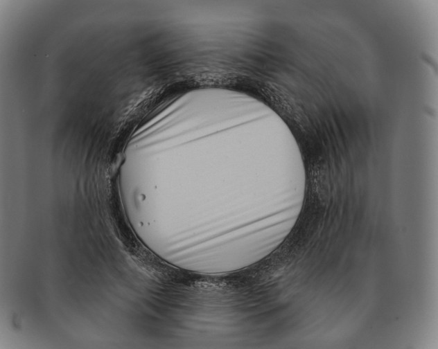 X0000091000690200708301335