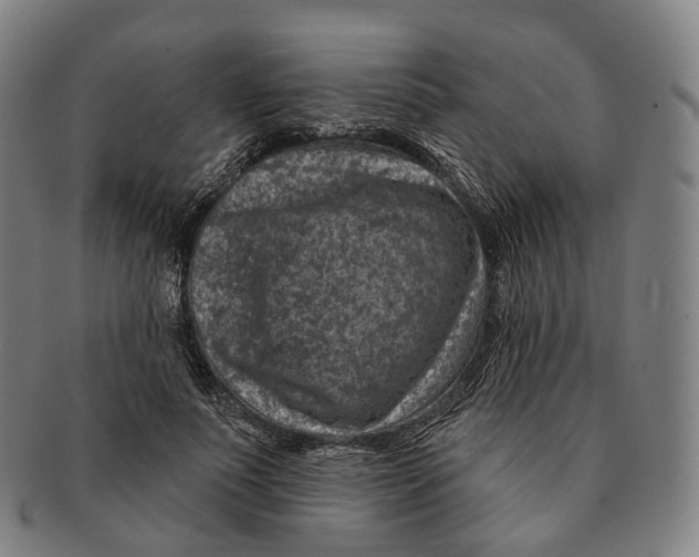 X0000091000691200708301335