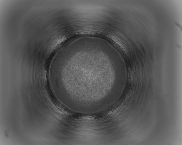 X0000091000692200708301335
