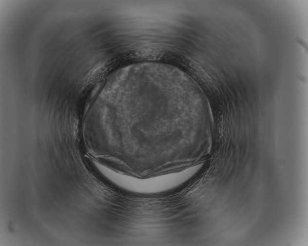 X0000091000693200708301335