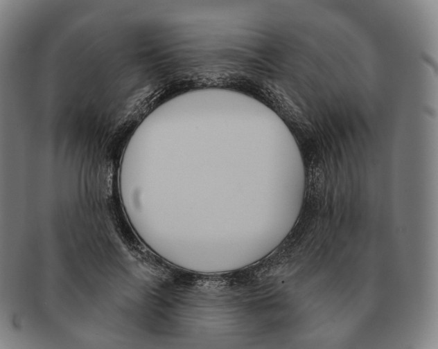 X0000091000694200708301335