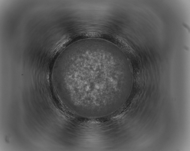 X0000091000696200708301335