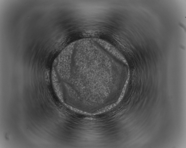 X0000091000699200708301335