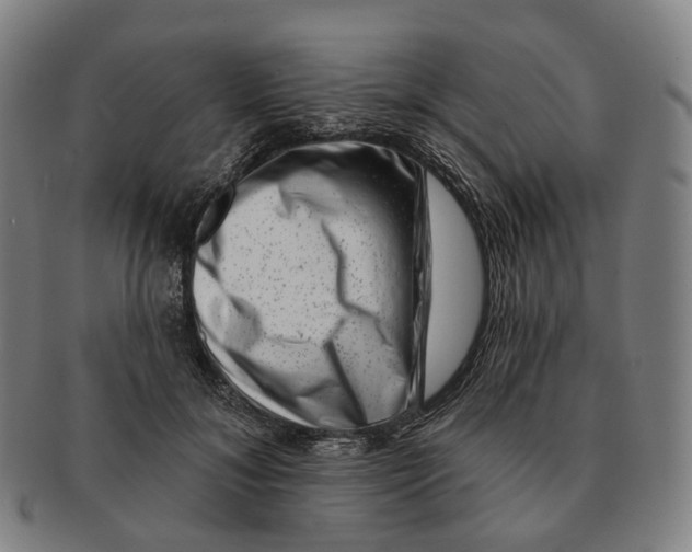 X0000091000700200708301335