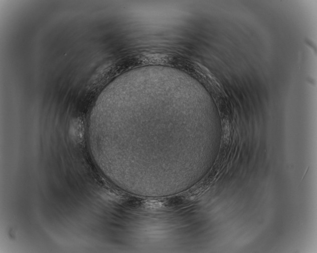 X0000091000701200708301335