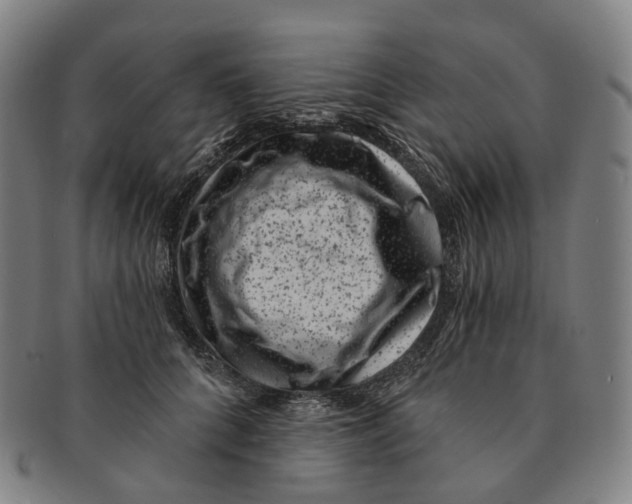 X0000091000704200708301335