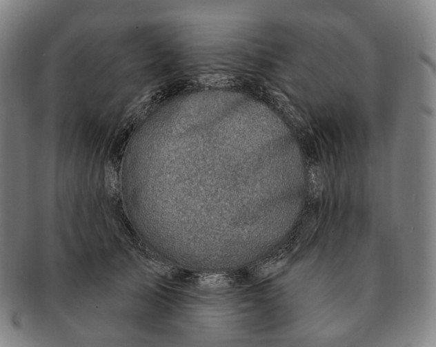 X0000091000705200708301335