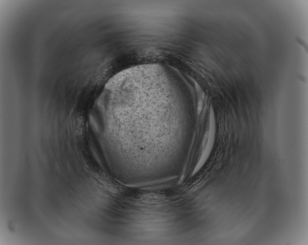 X0000091000708200708301335