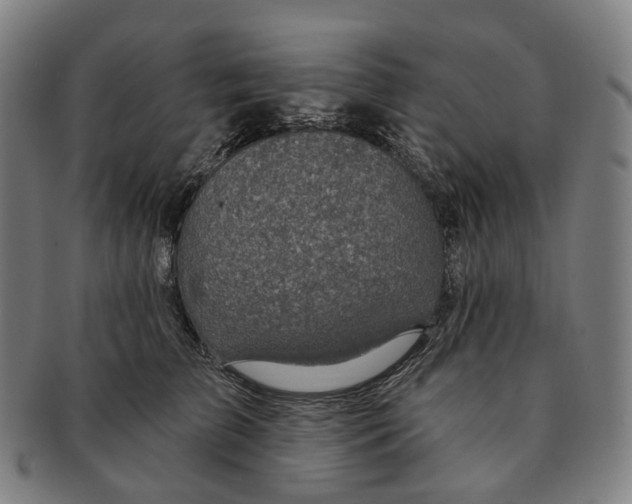 X0000091000709200708301335