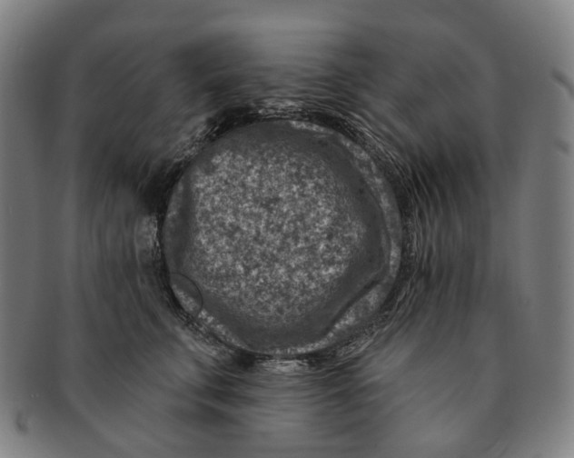 X0000091000711200708301335