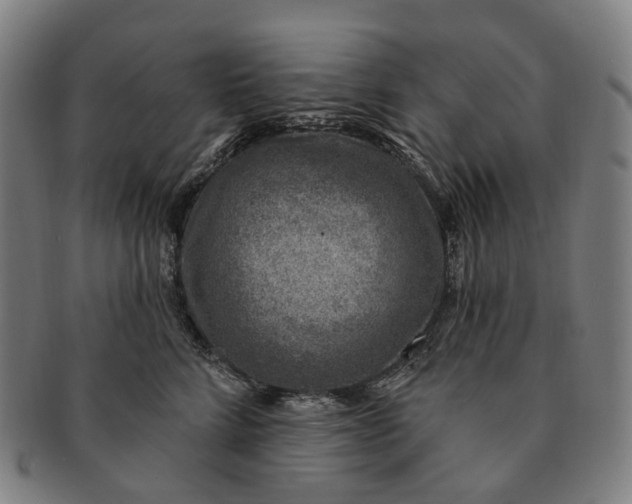 X0000091000712200708301335