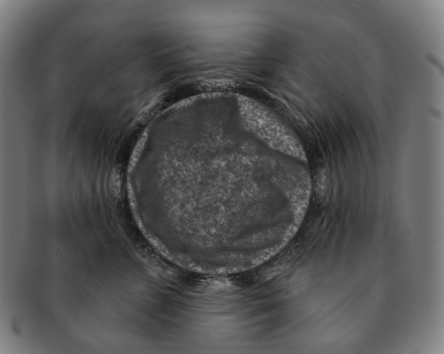 X0000091000715200708301335