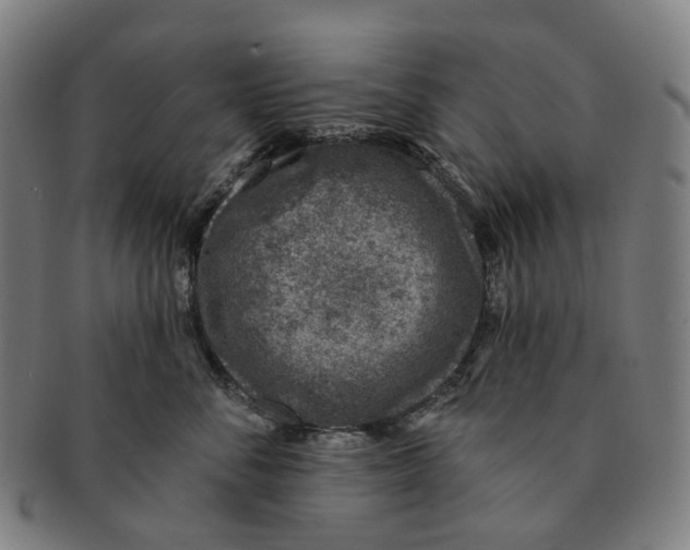 X0000091000716200708301335