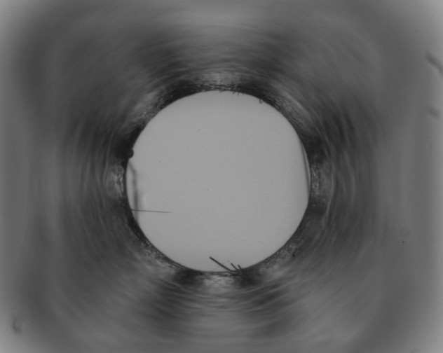 X0000091000718200708301335