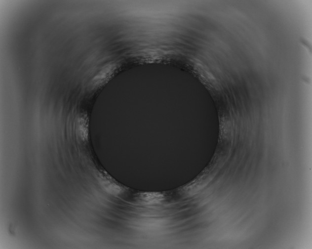 X0000091000719200708301335