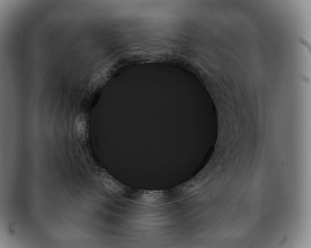 X0000091000720200708301335