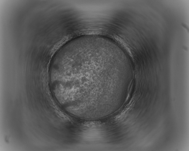 X0000091000721200708301334