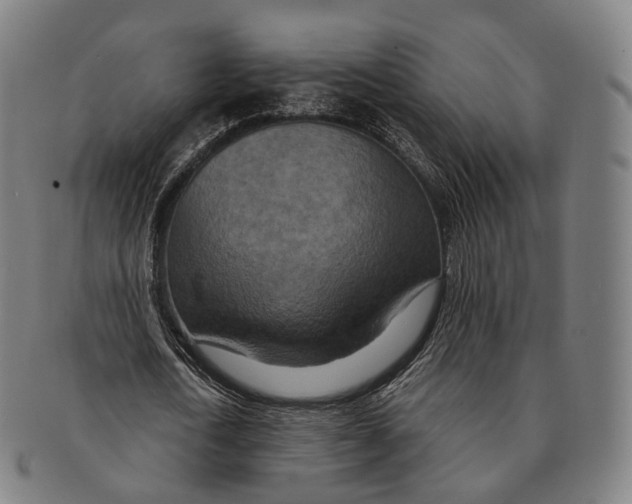 X0000091000722200708301334