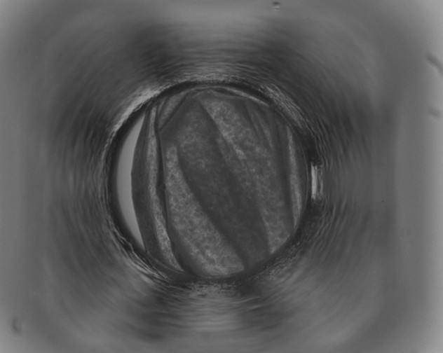 X0000091000723200708301334
