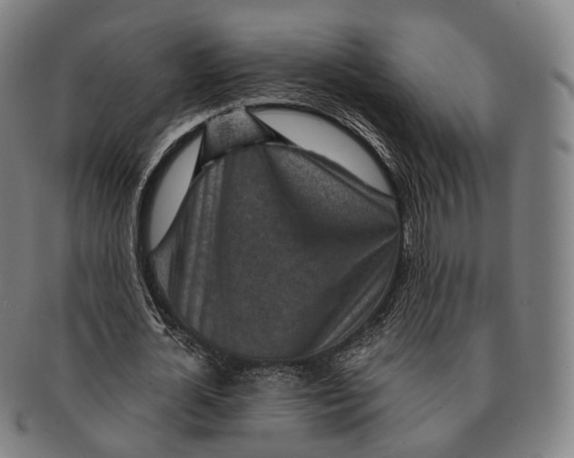 X0000091000724200708301334