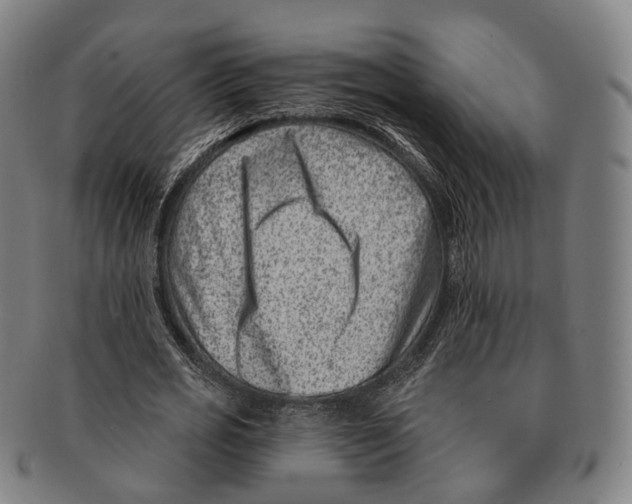 X0000091000725200708301334
