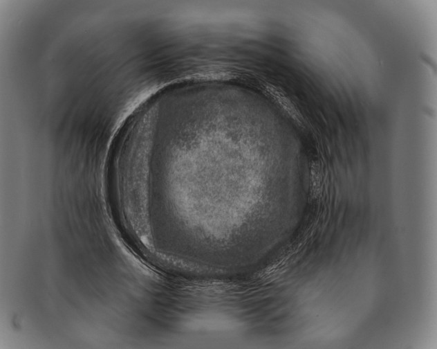 X0000091000726200708301334