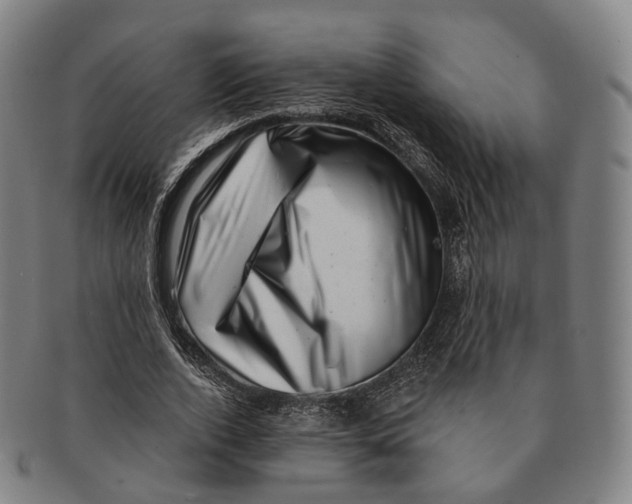 X0000091000728200708301334