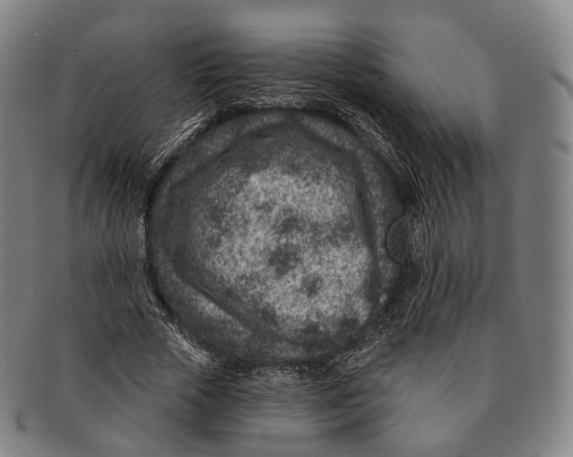 X0000091000729200708301334