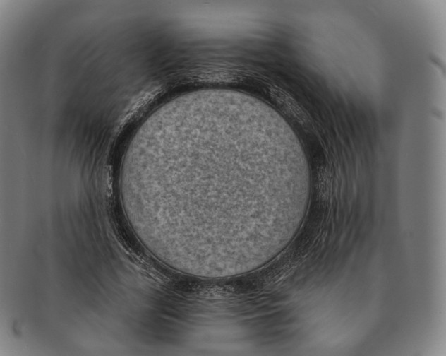 X0000091000731200708301334