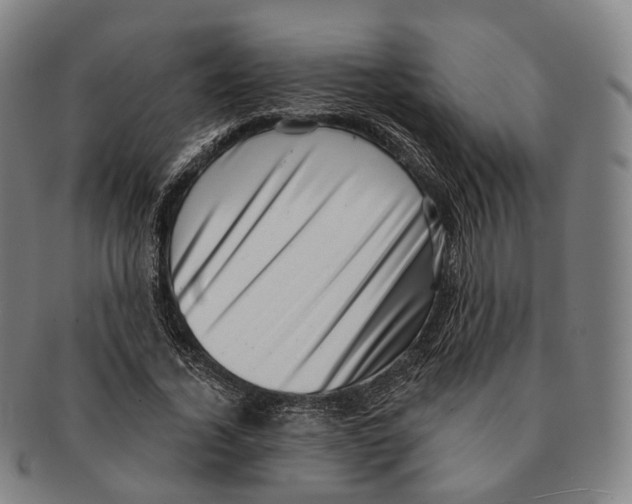 X0000091000732200708301334