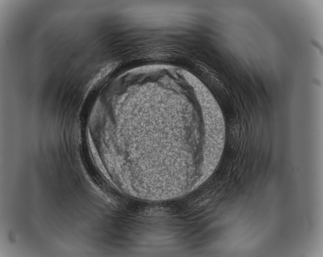 X0000091000734200708301334