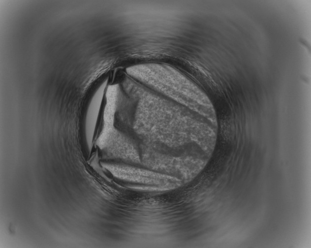X0000091000735200708301334