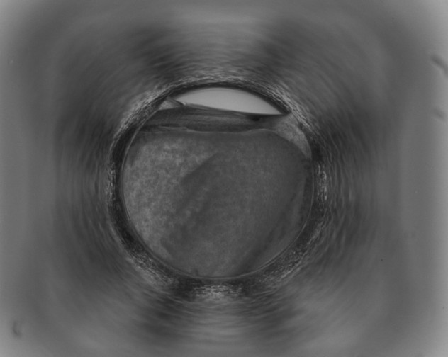 X0000091000736200708301334