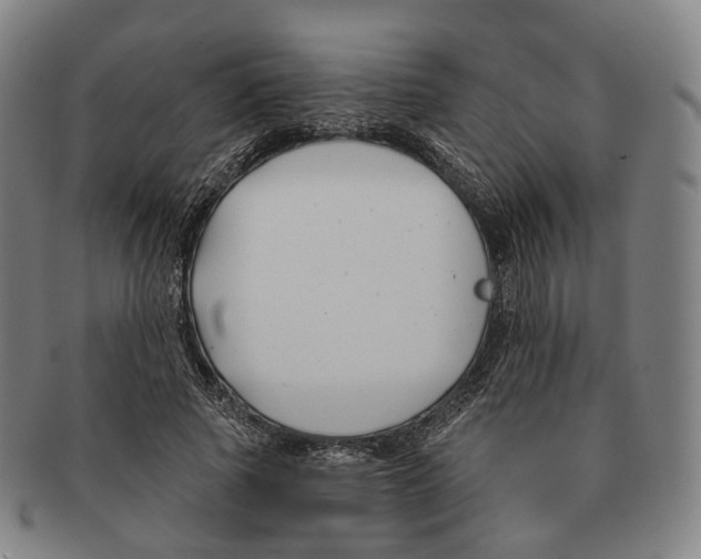 X0000091000737200708301334