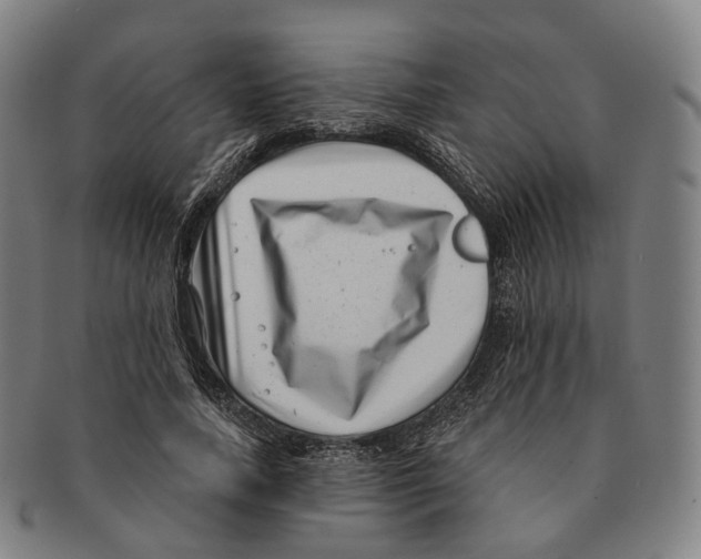 X0000091000738200708301334