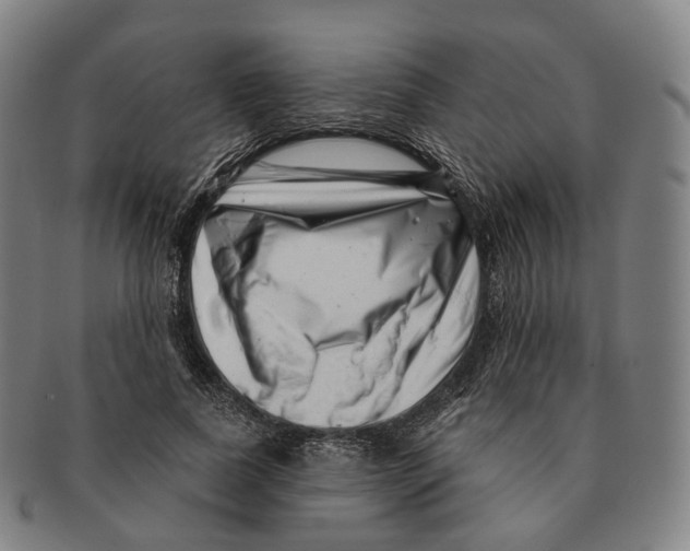X0000091000739200708301334