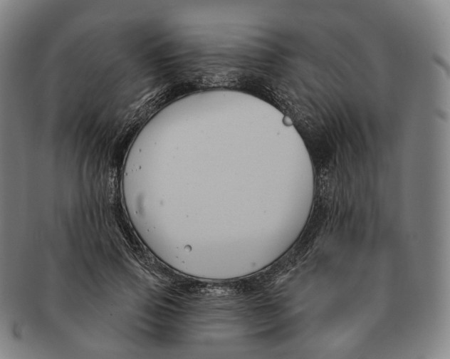 X0000091000741200708301334